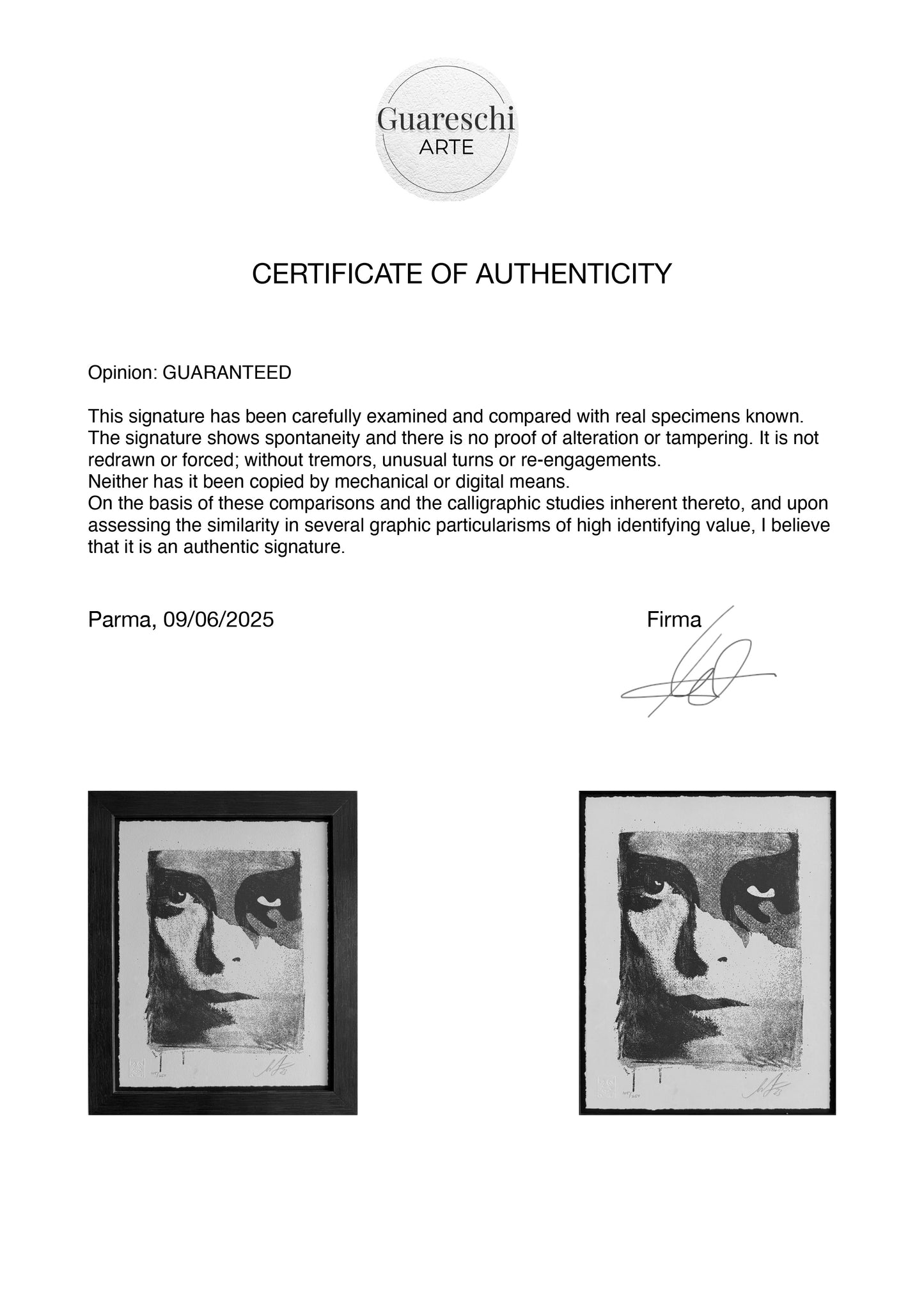 Shepard Fairey Obey - A Cracked Icon - 2022
