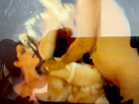 Mario Schifano - Erotika