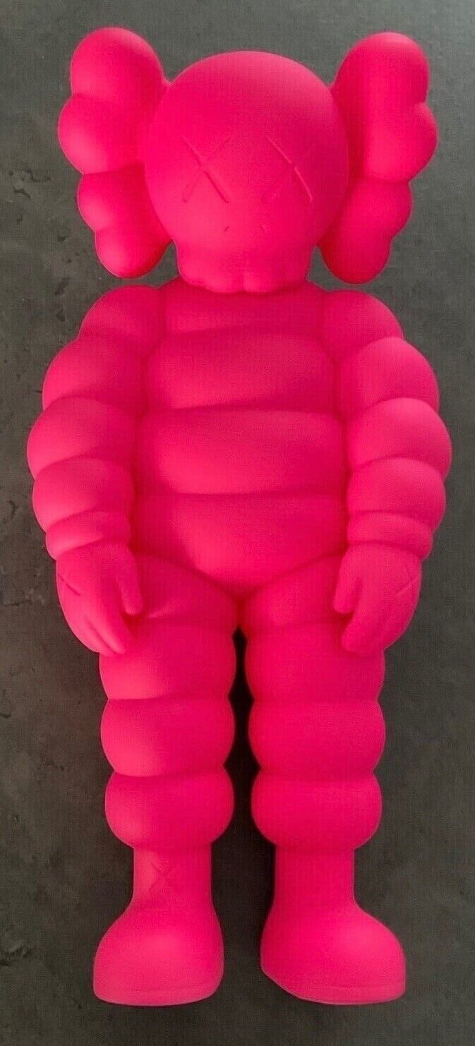 KAWS – What Party Rosa (2022)