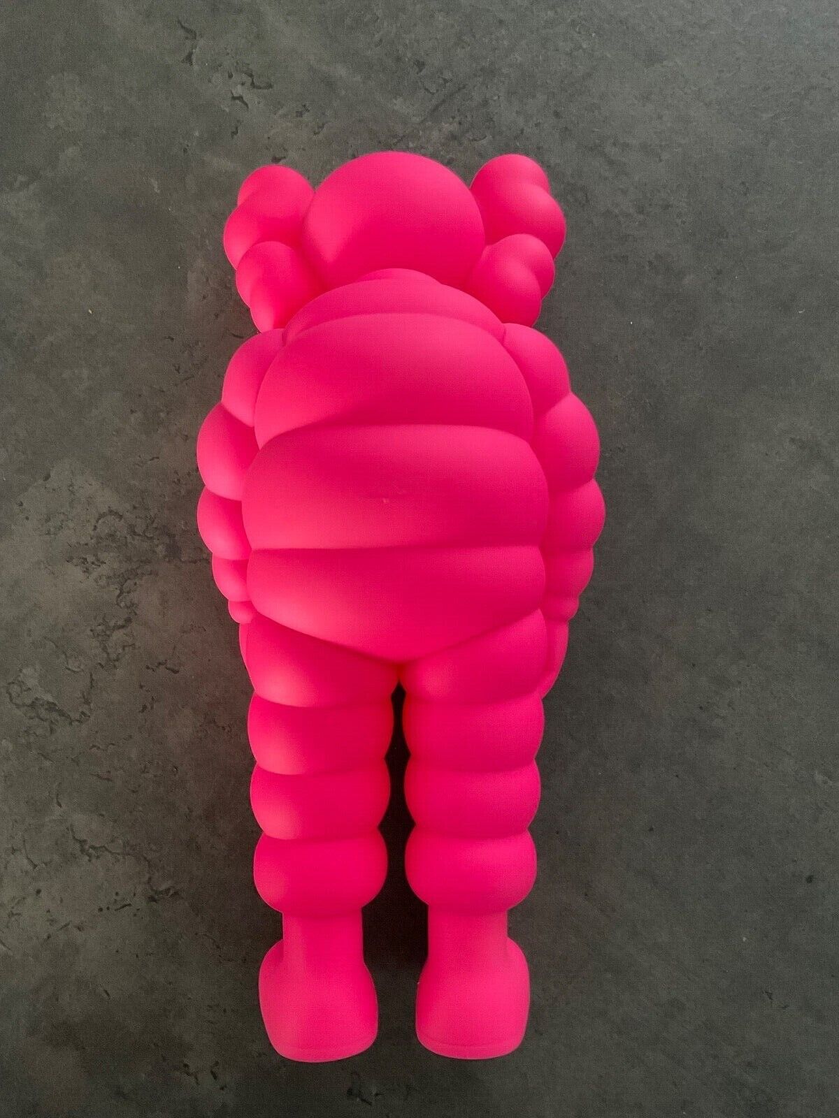 KAWS – What Party Rosa (2022)