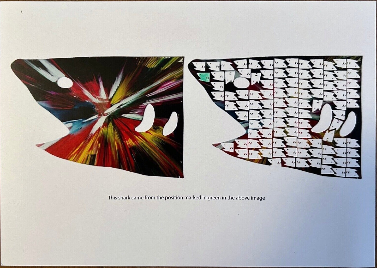 Damien Hirst – Taglio Unico di squalo