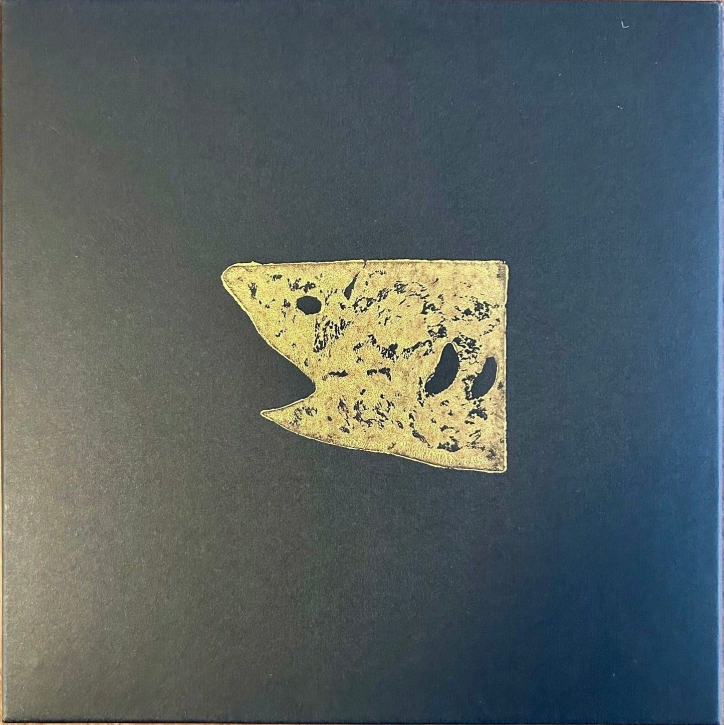 Damien Hirst – Taglio Unico di squalo