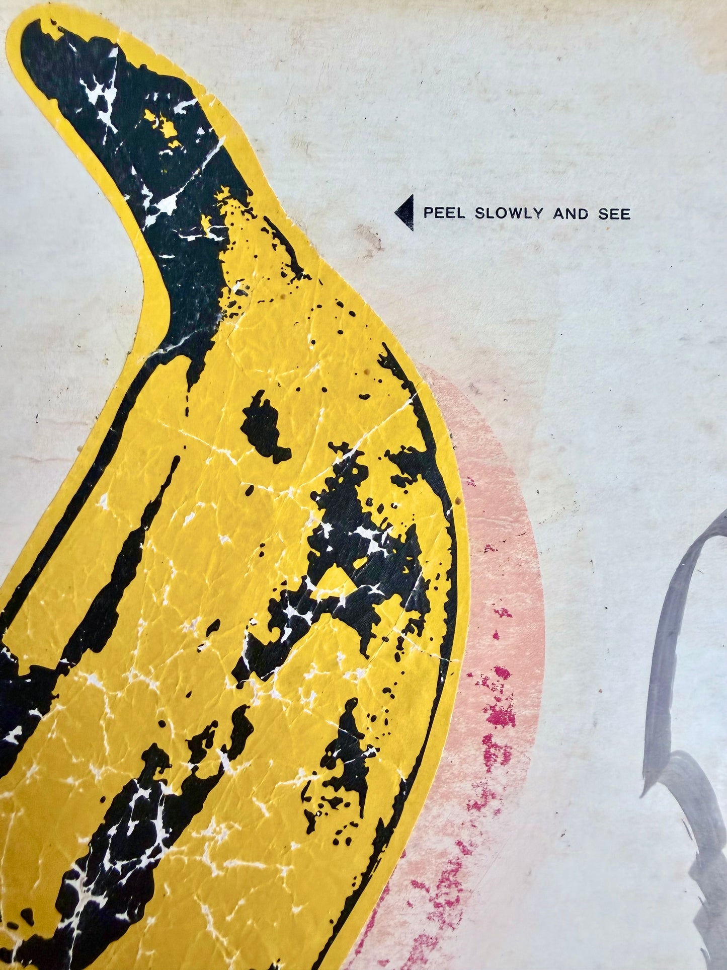 Andy Warhol - The Velvet Underground and Nico
