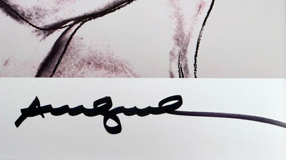 Andy Warhol – Querelle