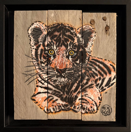 Mosko - Baby tiger