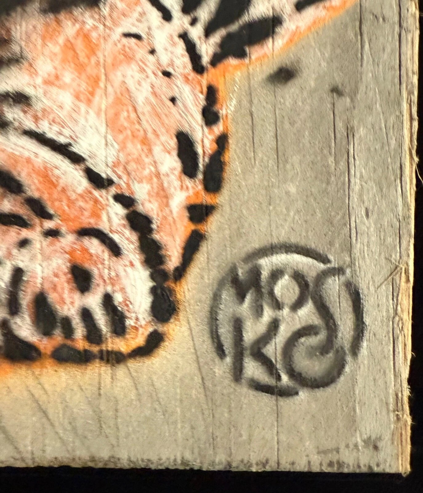 Mosko - Baby tiger