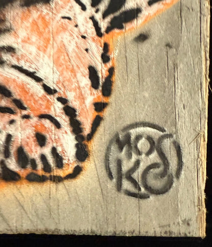 Mosko - Baby tiger