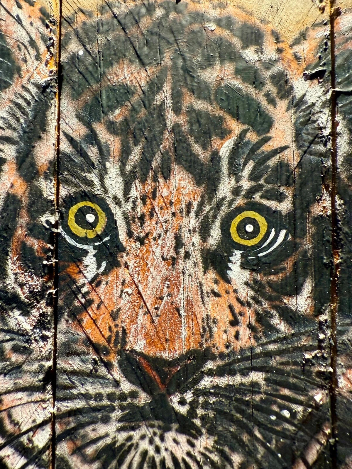 Mosko - Baby tiger