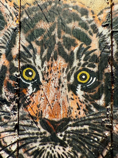 Mosko - Baby tiger